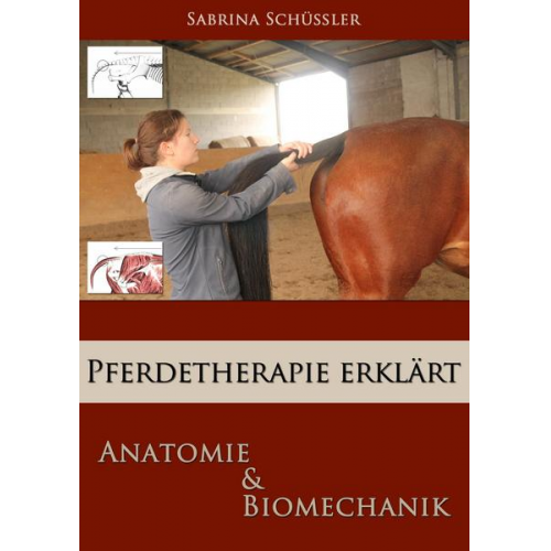 Sabrina Schüssler - Pferdetherapie erklärt