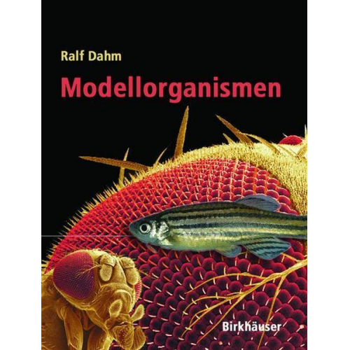 Ralf Dahm - Modellorganismen