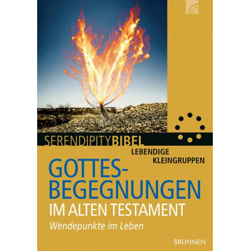 Stefan Kürle - Gottesbegegnungen im Alten Testament