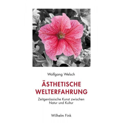 Wolfgang Welsch - Ästhetische Welterfahrung