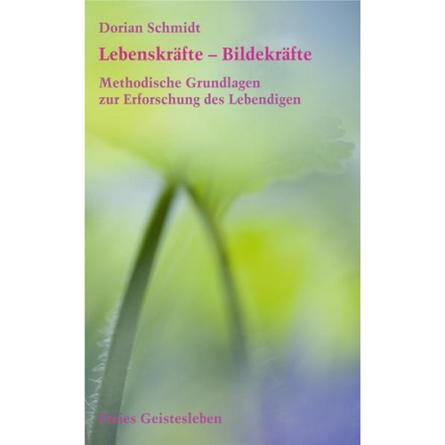 Dorian Schmidt - Lebenskräfte - Bildekräfte