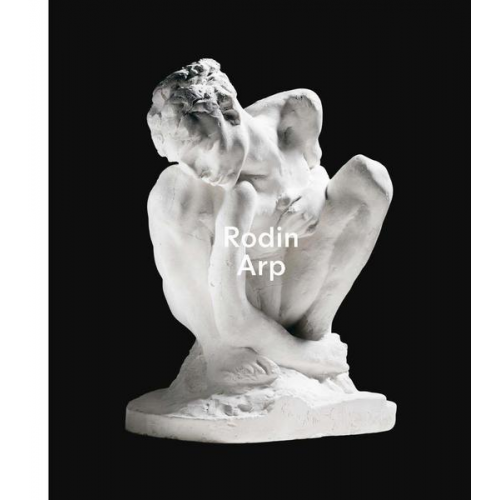 Raphaël Bouvier & Astrid Asten & Catherine Chevillot & Lilien Feledy & Tessa Paneth-Pollak - Rodin / Arp