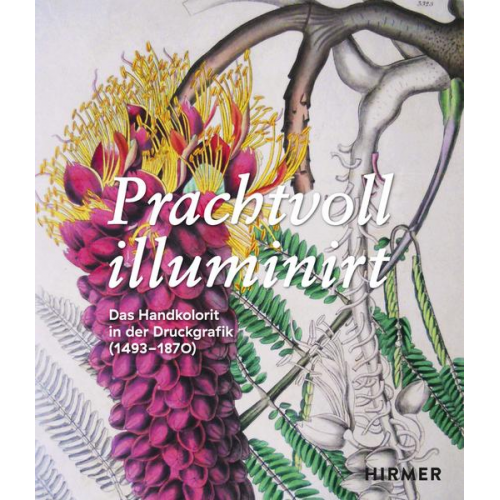 Prachtvoll illuminirt