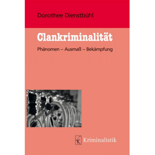 Dorothee Dienstbühl - Clankriminalität