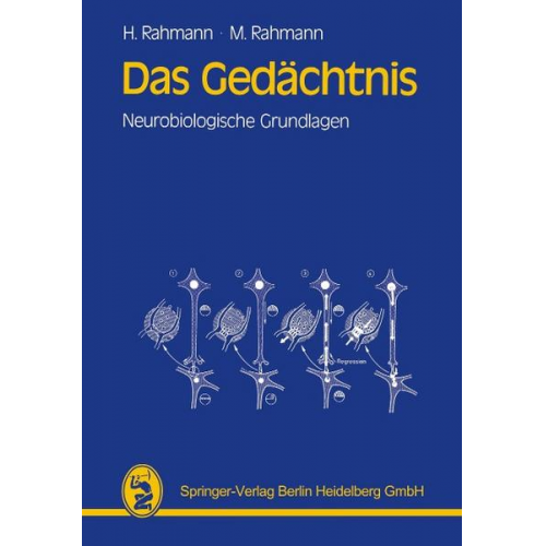 Hinrich Rahmann & Mathilde Rahmann - Das Gedächtnis