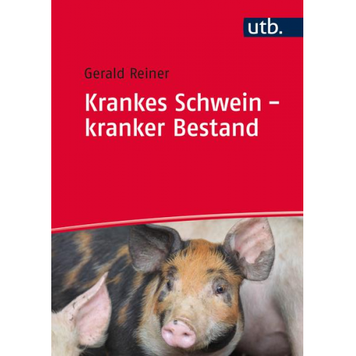 Gerald Reiner - Krankes Schwein - kranker Bestand