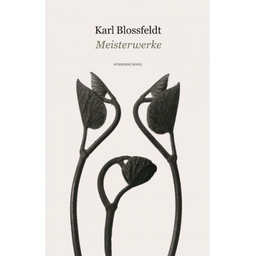 Karl Blossfeldt - Meisterwerke