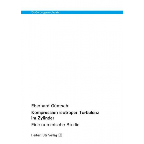 Eberhard Güntsch - Kompression isotroper Turbulenz im Zylinder