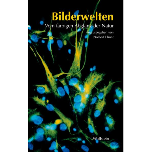 Norbert Elsner - Bilderwelten