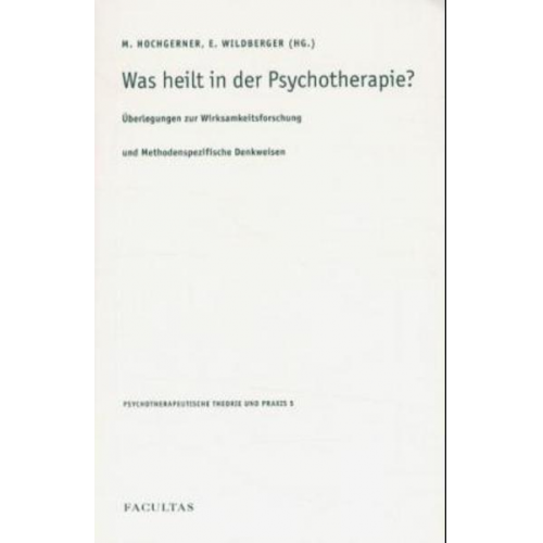 Markus Hochgerner & Elisabeth Wildberger - Was heilt in der Psychotherapie?