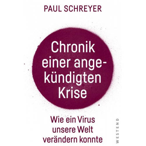 Paul Schreyer - Chronik einer angekündigten Krise