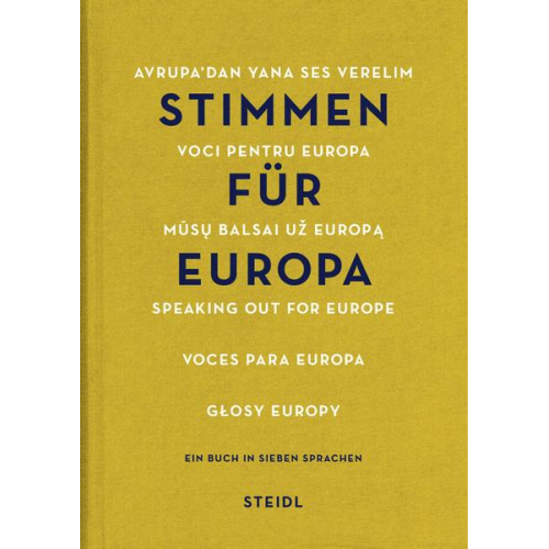 Tom Kehrbaum & Oskar Negt & Adam Ostolski & Christine Zeuner - Stimmen für Europa