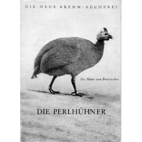 Hans Boetticher - Die Perlhühner