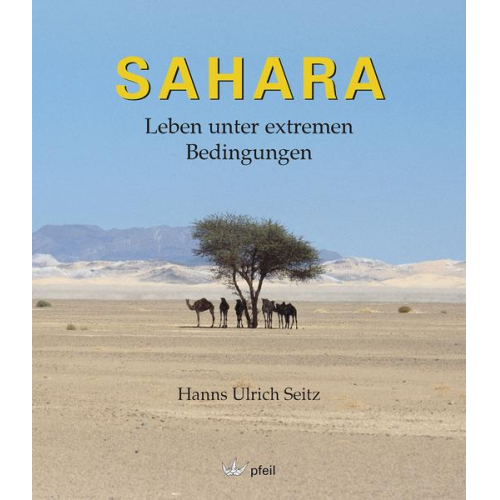 Hanns Ulrich Seitz - Sahara