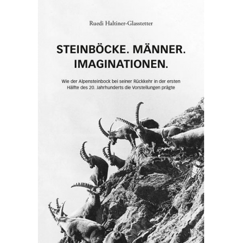 Ruedi Haltiner-Glasstetter - Steinböcke. Männer. Imaginationen.