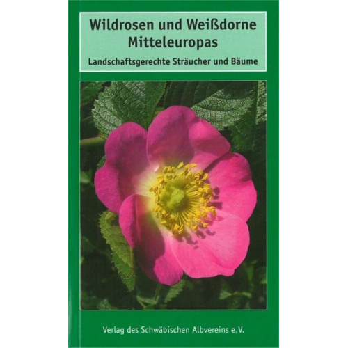 Georg Timmermann & Theo Müller - Wildrosen und Weißdorne Mitteleuropas