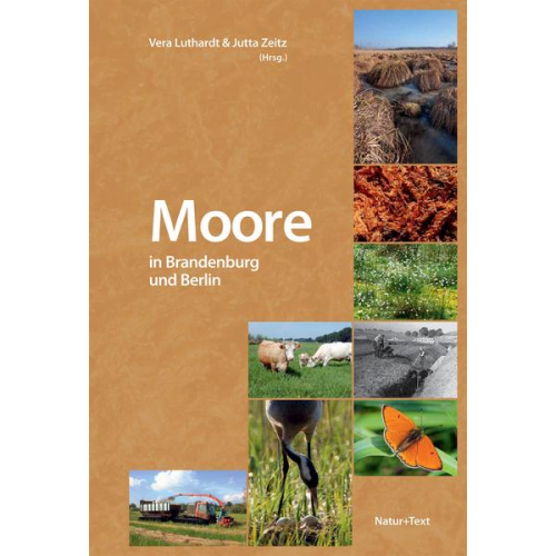 Moore in Brandenburg und Berlin