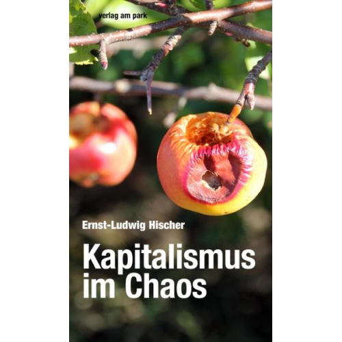 Ernst-Ludwig Hischer - Kapitalismus im Chaos