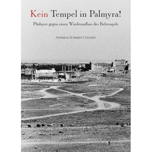 Andreas Schmidt-Colinet - Kein Tempel in Palmyra!