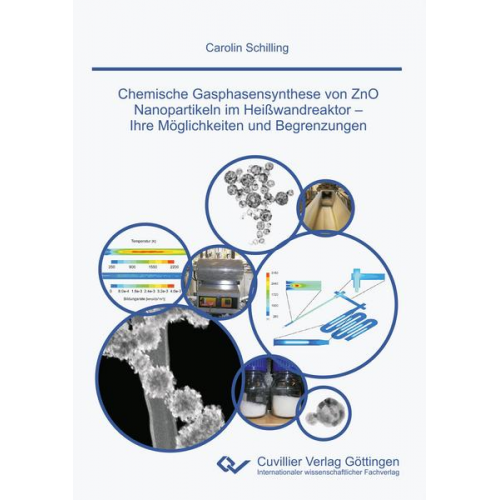 Carolin Schilling - Chemische Gasphasensynthese von ZnO Nanopartikeln im Heißwandreaktor