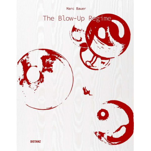 Marc Bauer - The Blow-Up Regime