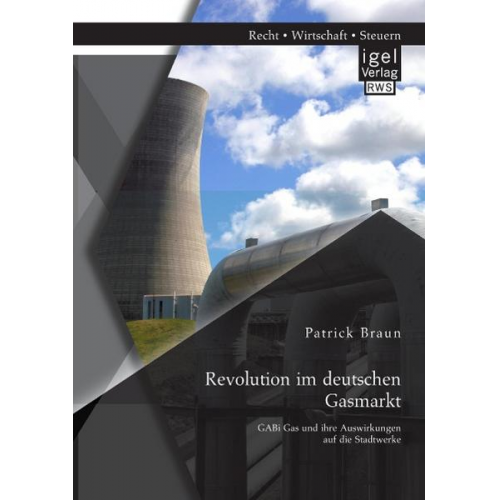 Patrick Braun - Revolution im deutschen Gasmarkt: GABi Gas und ihre Auswirkungen auf die Stadtwerke
