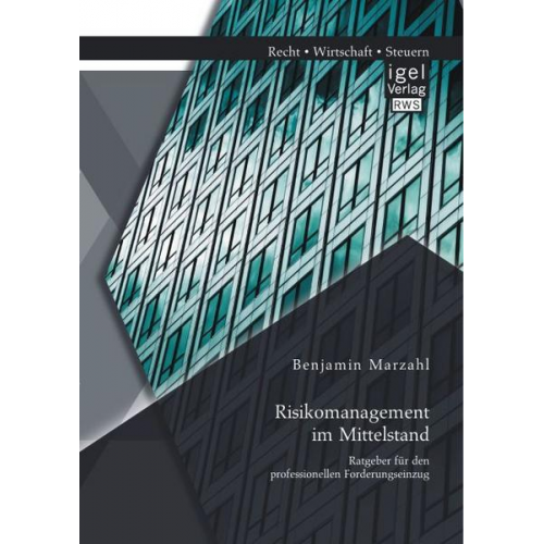 Benjamin Marzahl - Risikomanagement im Mittelstand: Ratgeber für den professionellen Forderungseinzug