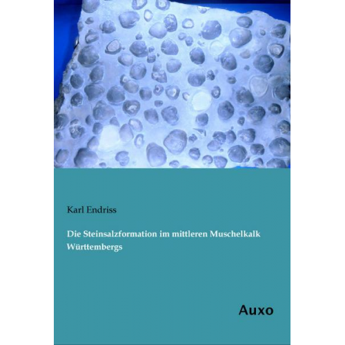 Karl Endriss - Die Steinsalzformation im mittleren Muschelkalk Württembergs