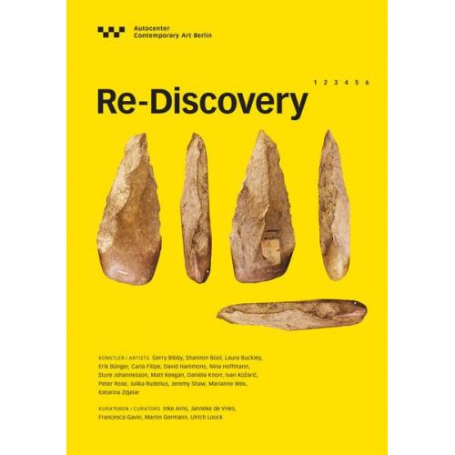 Re-Discovery