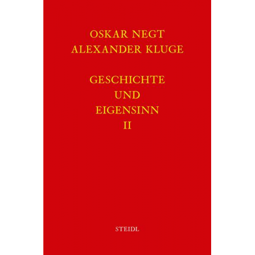 Oskar Negt & Alexander Kluge - Werkausgabe Bd. 6.2 / Geschichte und Eigensinn II: Deutschland als Produktionsöffentlichkeit