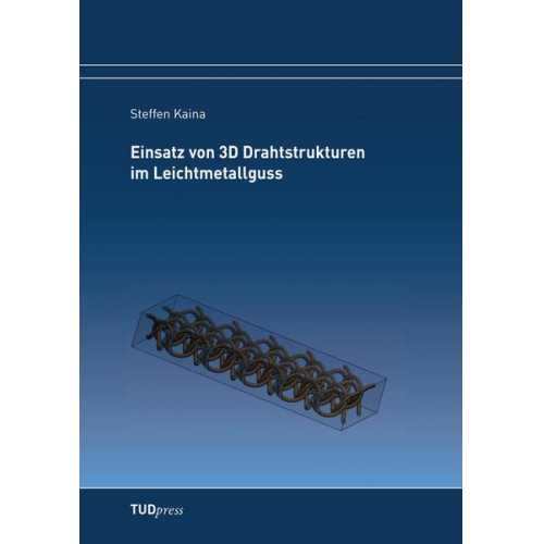 Steffen Kaina - Einsatz von 3D Drahtstrukturen im Leichtmetallguss