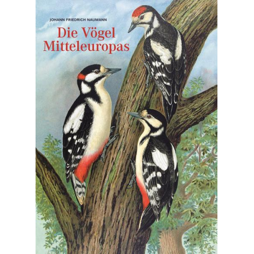 Johann Friedrich Naumann - Johann Friedrich Naumann – Die Vögel Mitteleuropas