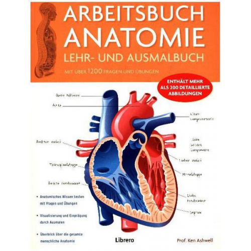 Ken Ashwell - Arbeitsbuch Anatomie