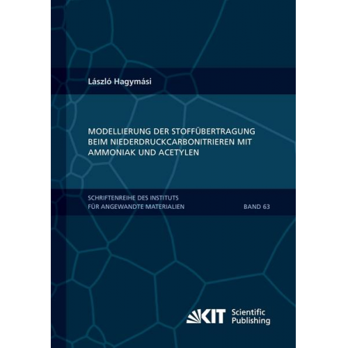 László Hagymási - Modellierung der Stoffübertragung beim Niederdruckcarbonitrieren mit Ammoniak und Acetylen