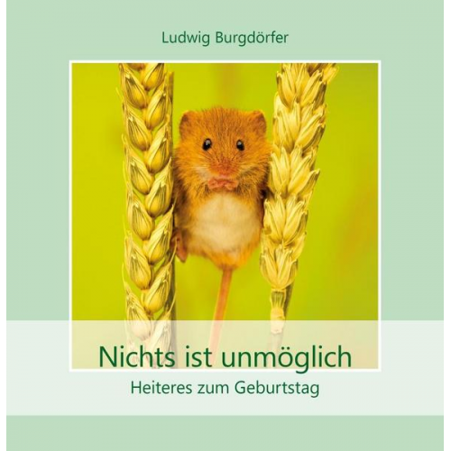 Ludwig Burgdörfer - Nichts ist unmöglich