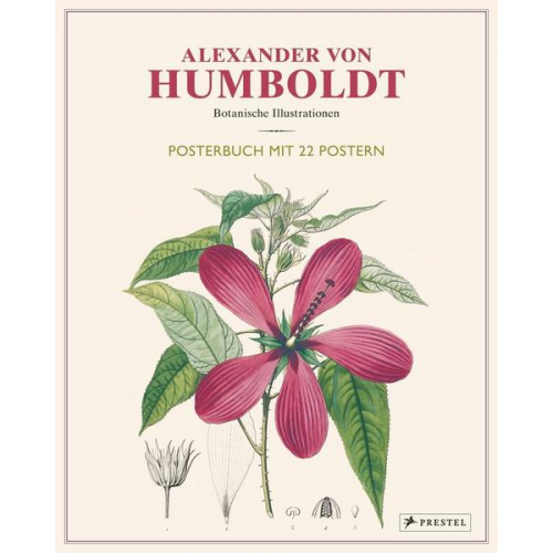 Otfried Baume - Alexander von Humboldt: Botanische Illustrationen. Posterbuch mit 22 Postern