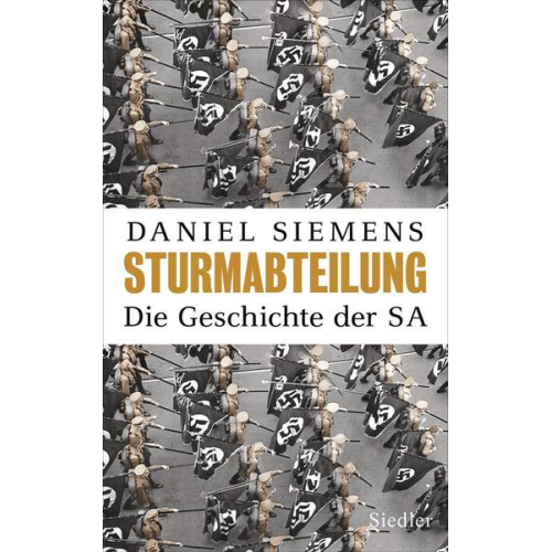 Daniel Siemens - Sturmabteilung