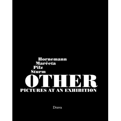 Peter Pilz & Thomas Hornemann & Oliver Marčeta & Niko Sturm - Other Pictures at an Exhibition