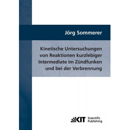 Jörg Sommerer - Kinetische Untersuchungen von Reaktionen kurzlebiger Intermediate im Zündfunken und bei der Verbrennung