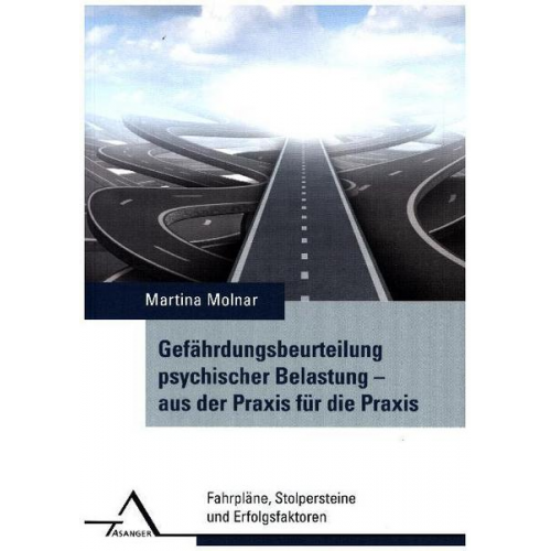 Martina Molnar - Gefährdungsbeurteilung psychischer Belastung – aus der Praxis für die Praxis