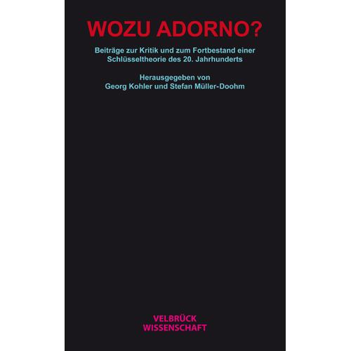 Georg Kohler & Stefan Müller-Doohm & Stefan Müller-Doohm - Wozu Adorno?