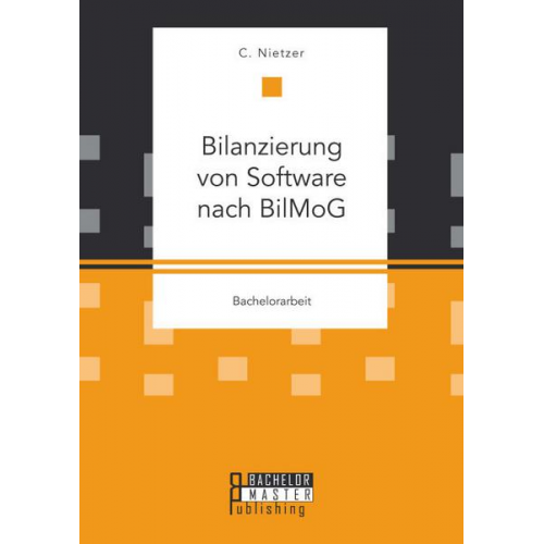 Nietzer C. - Bilanzierung von Software nach BilMoG