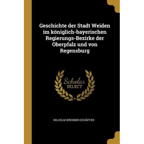 Wilhelm Brenner-Schaffer - Geschichte Der Stadt Weiden Im Königlich-Bayerischen Regierungs-Bezirke Der Oberpfalz Und Von Regensburg