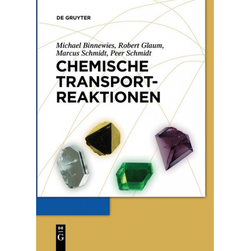 Michael Binnewies & Robert Glaum & Marcus Schmidt & Peer Schmidt - Chemische Transportreaktionen