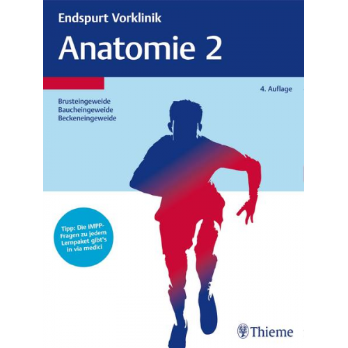 Endspurt Vorklinik: Anatomie 2