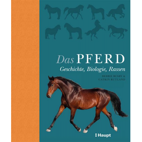 Debbie Busby & Catrin Rutland - Das Pferd