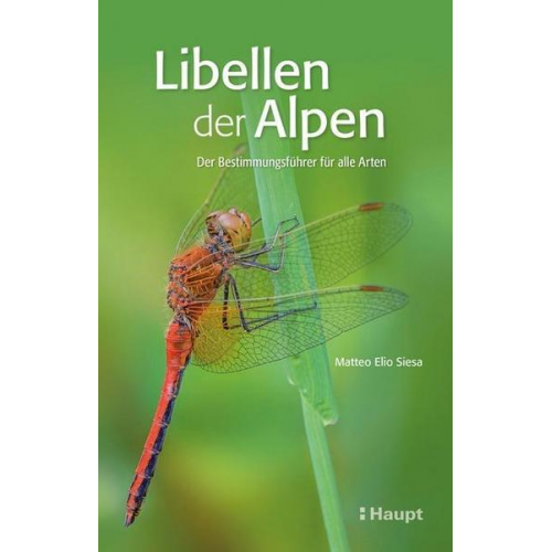 Matteo Elio Siesa - Libellen der Alpen