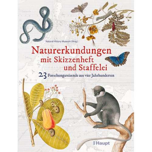 Naturerkundungen mit Skizzenheft und Staffelei