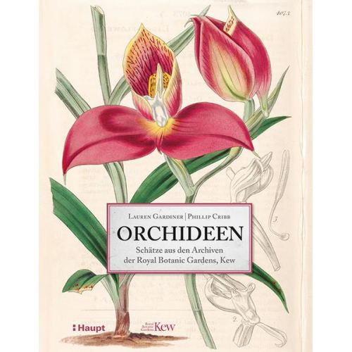 Lauren Gardiner & Phillip Cribb - Orchideen