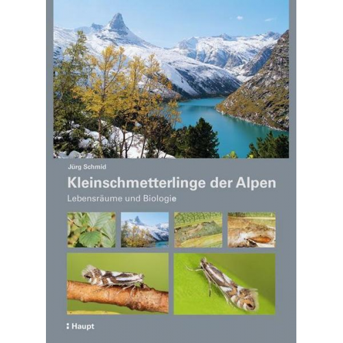 Jürg Schmid - Kleinschmetterlinge der Alpen